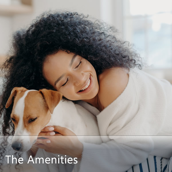 Features & Amenities